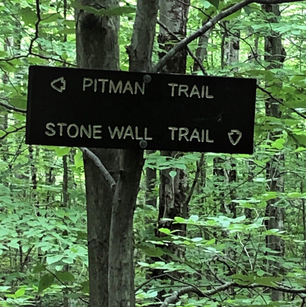 Town Forest Town of Alexandria New Hampshire